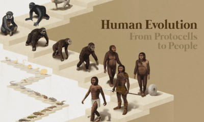 How does genomics contribute to our understanding of human evolution?